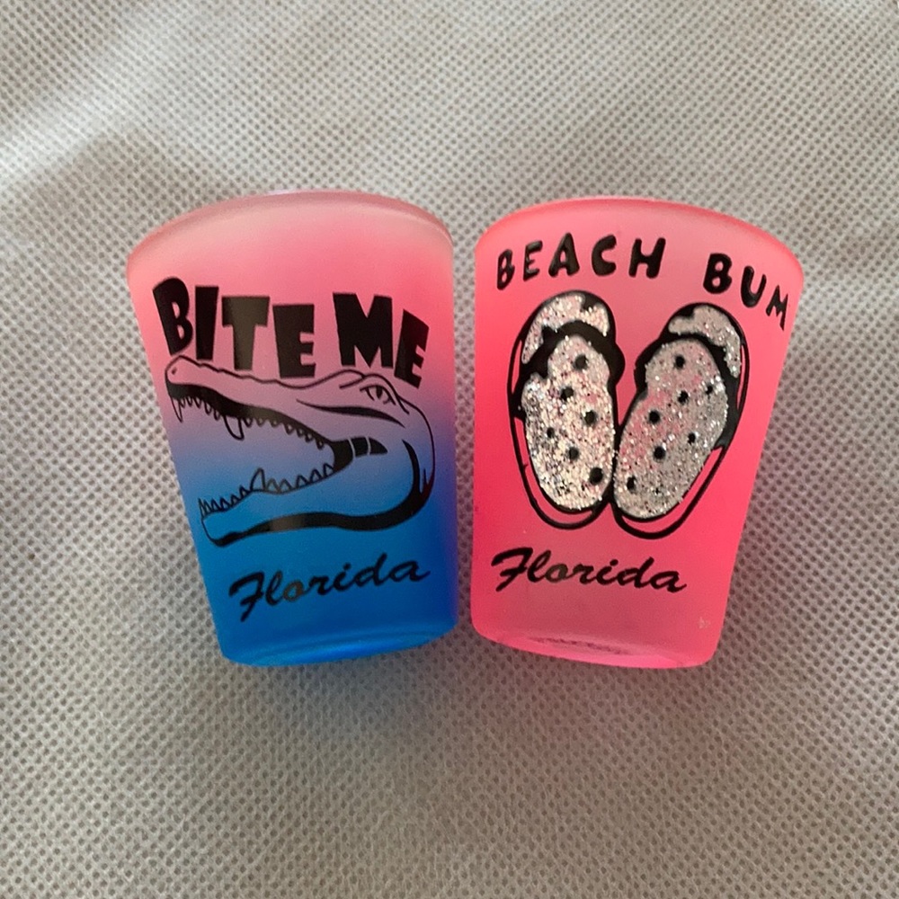 Pair of Florida Shot Glasses